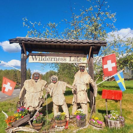 Elch Zimmer Wilderness Life Arvidsjaur Exterior foto